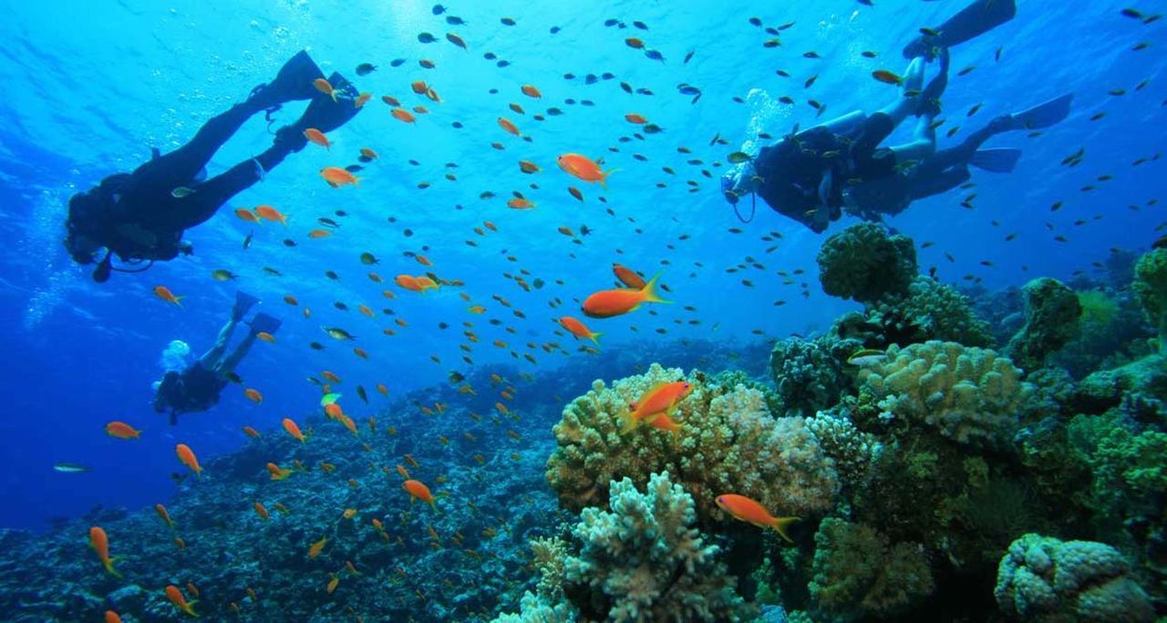 Amora Villa Gili Trawangan Luaran gambar