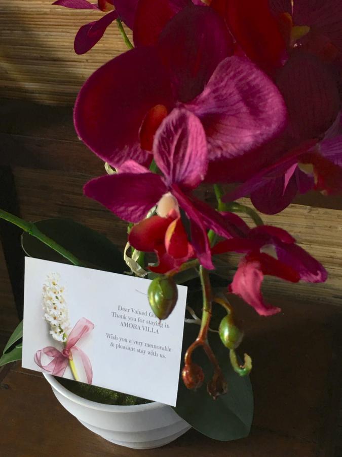 Amora Villa Gili Trawangan Luaran gambar