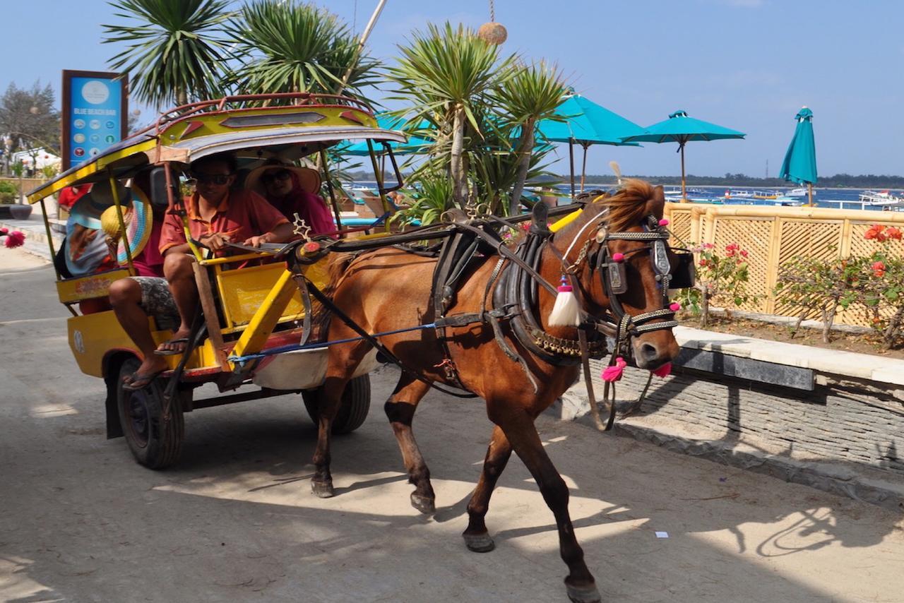 Amora Villa Gili Trawangan Luaran gambar