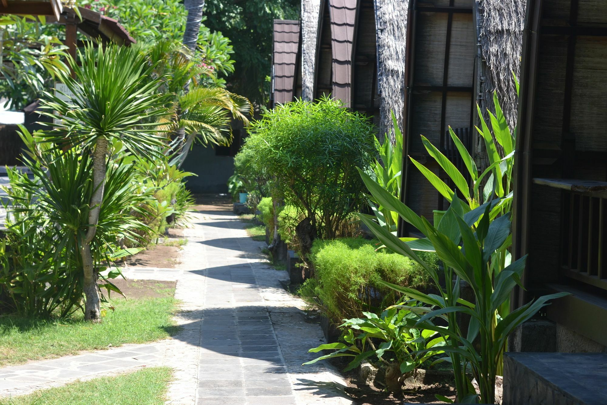 Amora Villa Gili Trawangan Luaran gambar